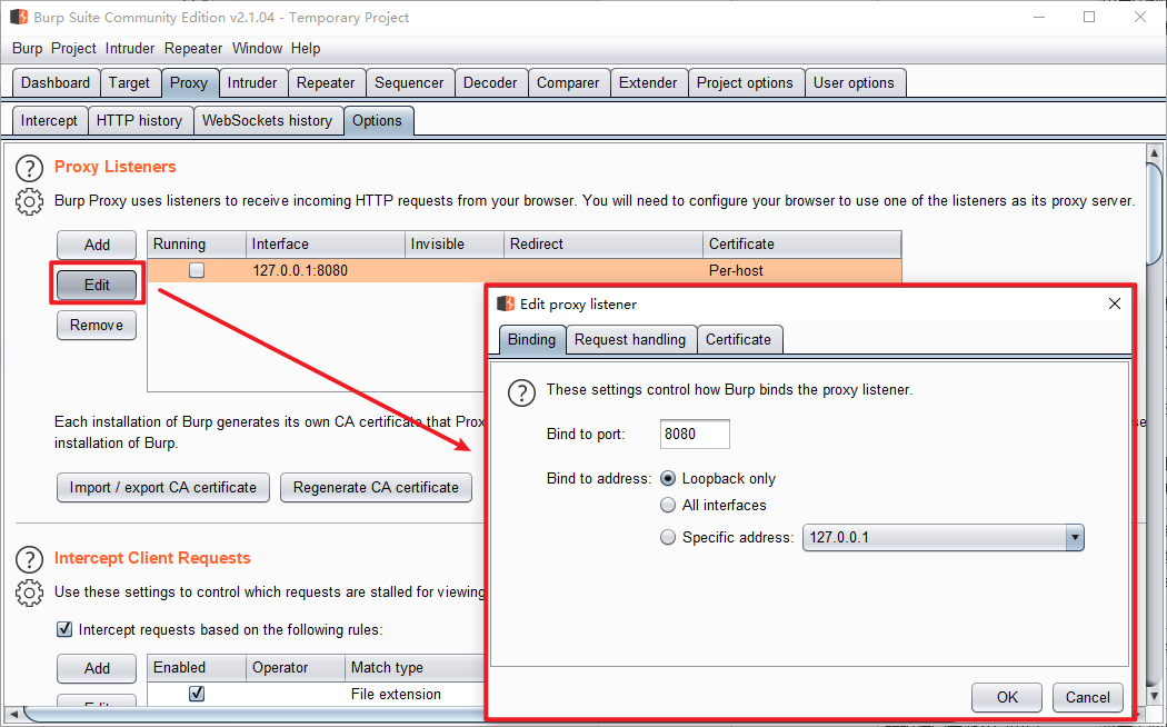 burpsuite-2